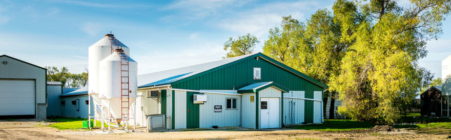 How this egg farmer shares farm life with her community | eggfarmers.ca